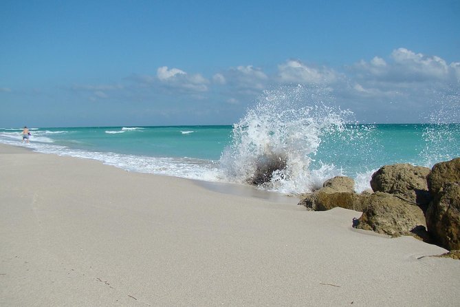 MIAMI Beach Wedding or Vow Renewal Ceremony - Officiant energy matters: professional, attentive, and present