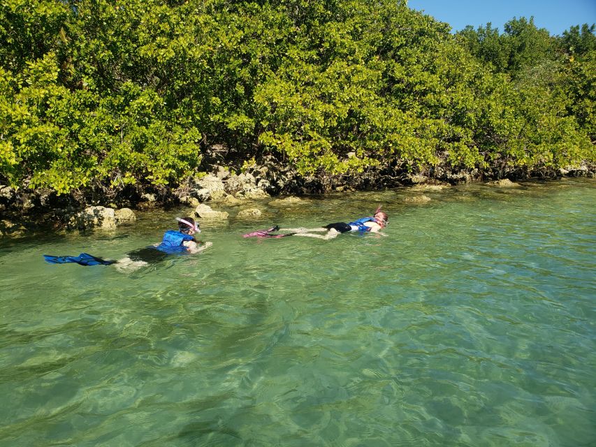 Miami: Beginner-Friendly Island Snorkeling by SUP or Kayak - Your “first paddle, first snorkel” day in Miami