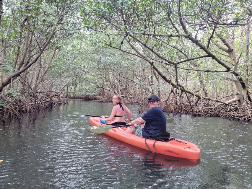 Miami: Beginner-Friendly Island Snorkeling by SUP or Kayak - Mangrove paddling: the calm start that sets the tone