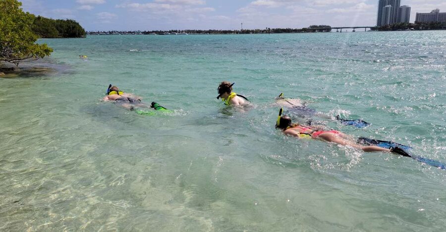 Miami: Beginner-Friendly Island Snorkeling by SUP or Kayak - Sandspur Island snorkeling: shallow-water confidence