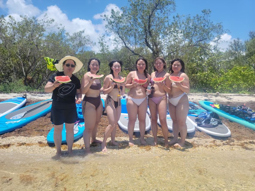 Miami: Beginner-Friendly Island Snorkeling by SUP or Kayak - Wildlife encounters: the animals aren’t a guarantee, but the surprises are real