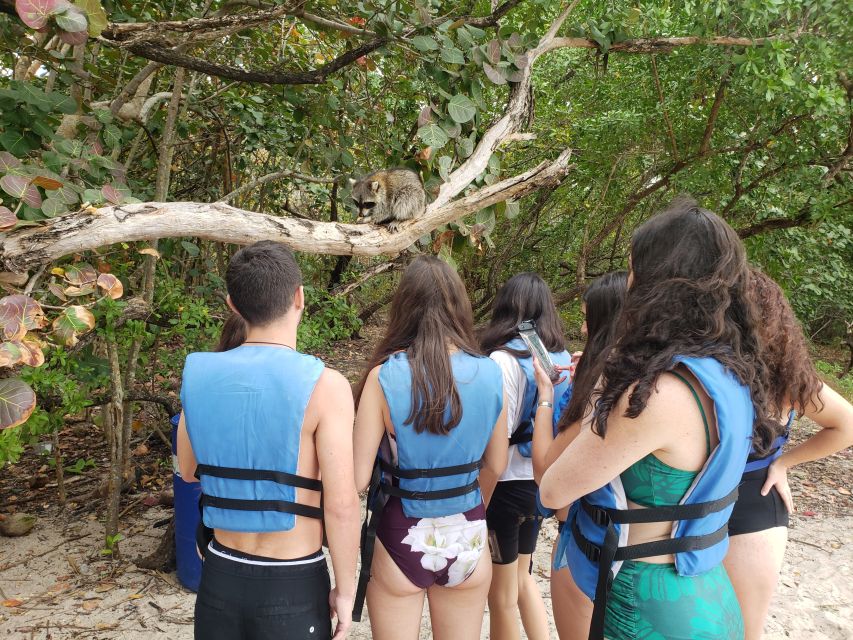 Miami: Beginner-Friendly Island Snorkeling by SUP or Kayak - The 150-minute pace: lesson, mangroves, island time, then back