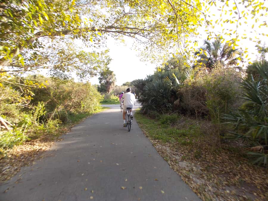 Miami: Bike Rental - Bike Quality and Fit: What to Check Before You Ride