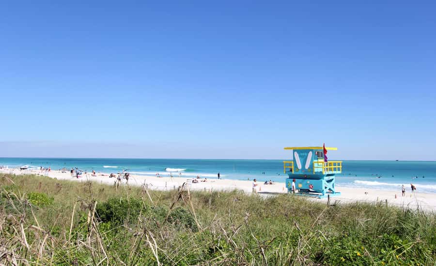 Miami: Bike Rental - Price and Value: Is $24 per Person Worth It?