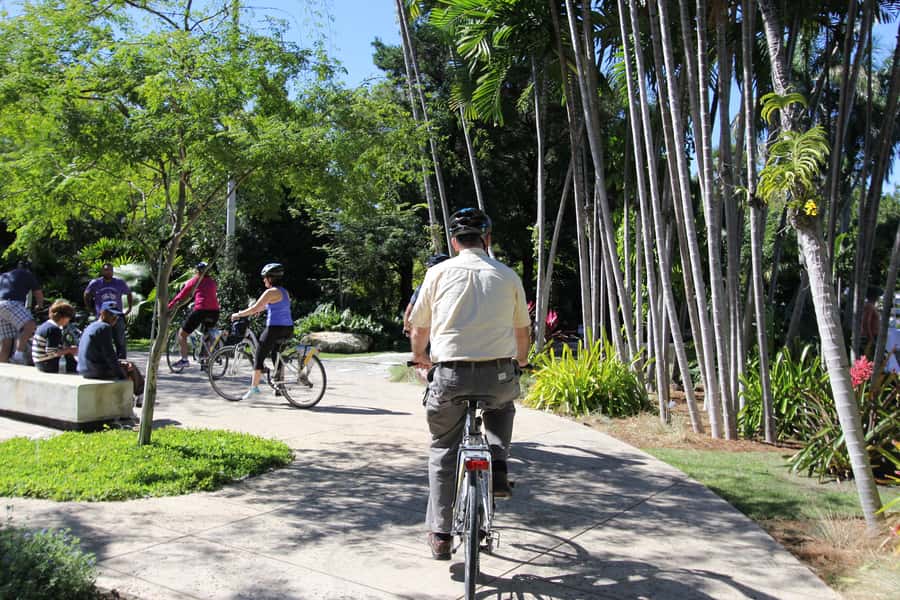Miami: Bike Rental - Who This Bike Rental Fits (and Who Should Skip It)
