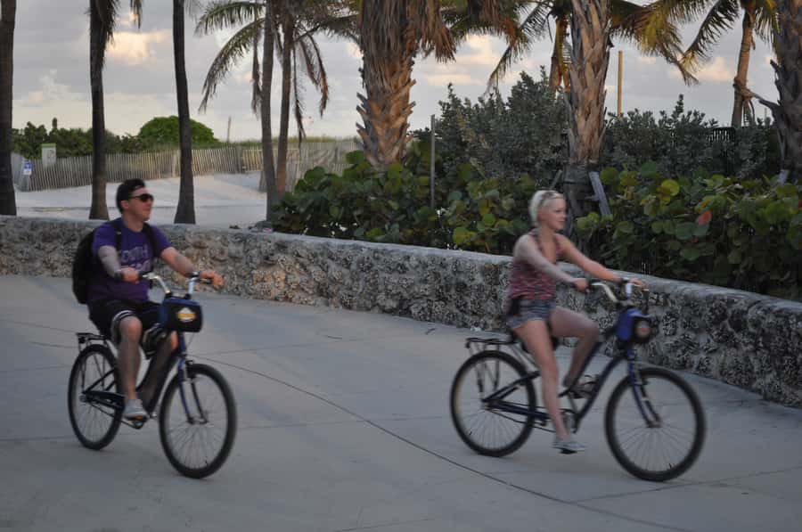 Miami: Bike Rental - Should You Book This Miami Beach Bike Rental?