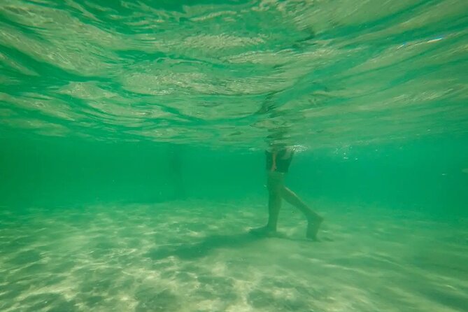 Miami Biscayne Bay Boat Tour with Sandbar Experience. - Houlover Sandbar: Clear-Water Relaxation That Feels Like a Different Miami
