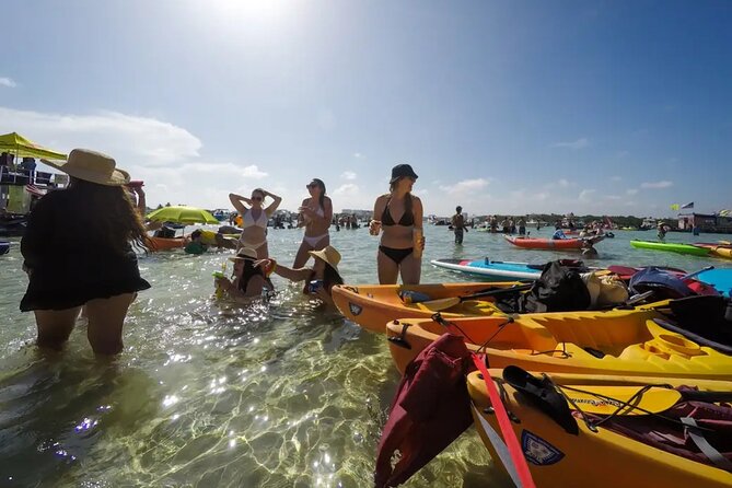 Miami Biscayne Bay Boat Tour with Sandbar Experience. - Bird Island Stop: Herons, Pelicans, and Egrets Up Close
