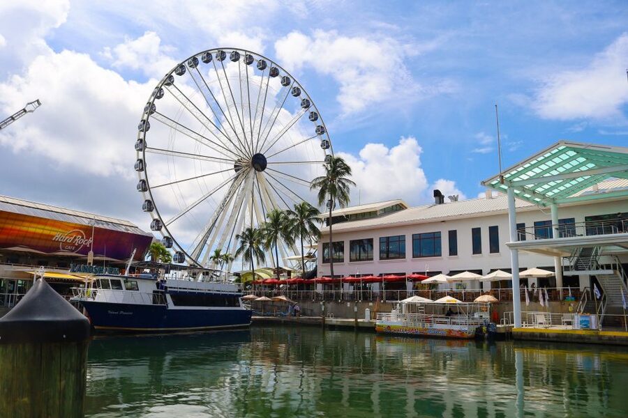 Miami Biscayne Bay: Sunset Boat Cruise & Millionaire Homes - Wildlife and the “Nature Came Along” Bonus