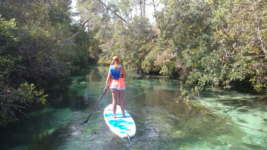 Miami: Biscayne Bay Ultimate Boat Tour with Kayak Experience - Wildlife spotting on Biscayne Bay: dolphins, manatees, and birds with a point