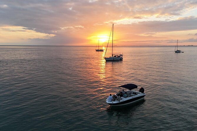Miami Boat Tour –Day and Night Cruises with Champagne - The day-or-night skyline loop: Rickenbacker Causeway to bay lights