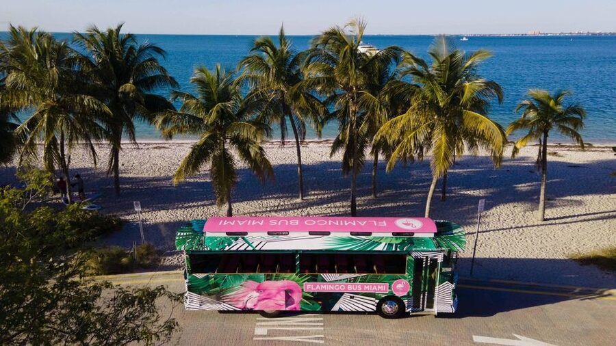 Miami Bus Tour Flamingo Open Air Trolley Bus Tours City Tour - The Guide Factor: Why Alex’s Style Makes the Ride Better
