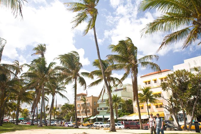 Miami City Tour and Biscayne Bay Cruise with Hotel Transportation - How This Miami Land-and-Sea Day Works (and What $69 Buys You)