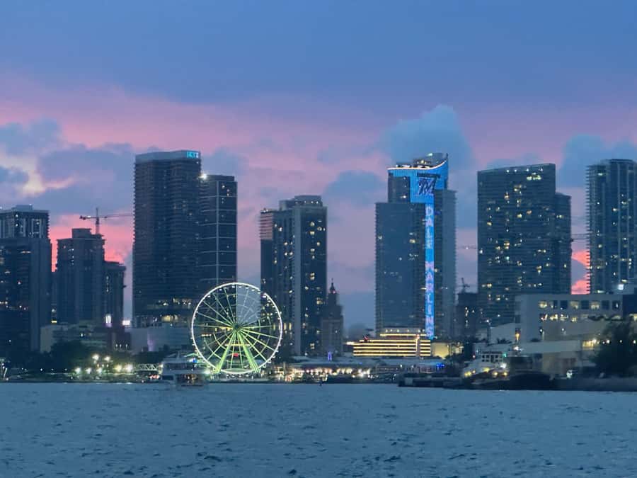 Miami Evening Boat Past Millionaire Homes on Water Taxi - Route Highlights: Skyline, Brickell, and the Port of Miami