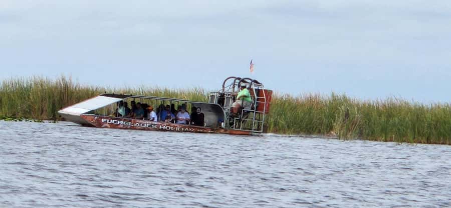 Miami: Everglades Airboat, Gator Encounter & Bus Transfer - The 45-minute airboat ride: wind, sound, and spotting wildlife
