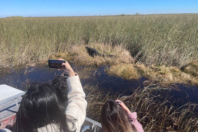Miami: Everglades Airboat incl. Group Photo - Wildlife sightings: what to expect when alligators are in charge