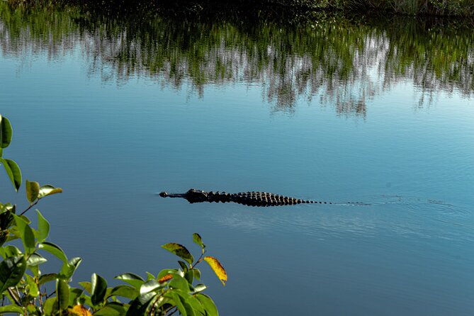 Miami: Everglades Airboat incl. Group Photo - Who should book this Everglades airboat tour?