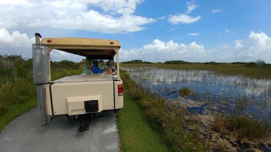 Miami: Everglades Airboat Ride and Tram Tour - Key things to know before you go