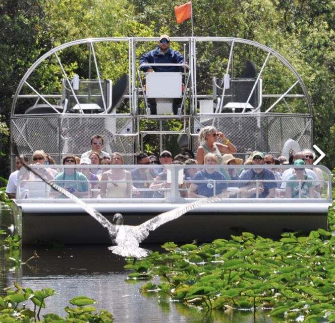Miami: Everglades Airboat Ride and Tram Tour - Everglades Safari Park airboat ride: official park-concession energy