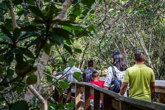 MIAMI: Everglades Airboat, Wildlife Gator Show and Pick-up - Bus Comfort, Pickup Timing, and Why It Can Make or Break Your Day
