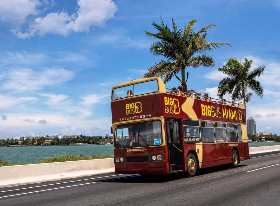 Miami: Everglades Experience, Bay Cruise & Open-Top Bus Tour - Everglades Airboat Ride + Wildlife Show at Everglades Holiday Park