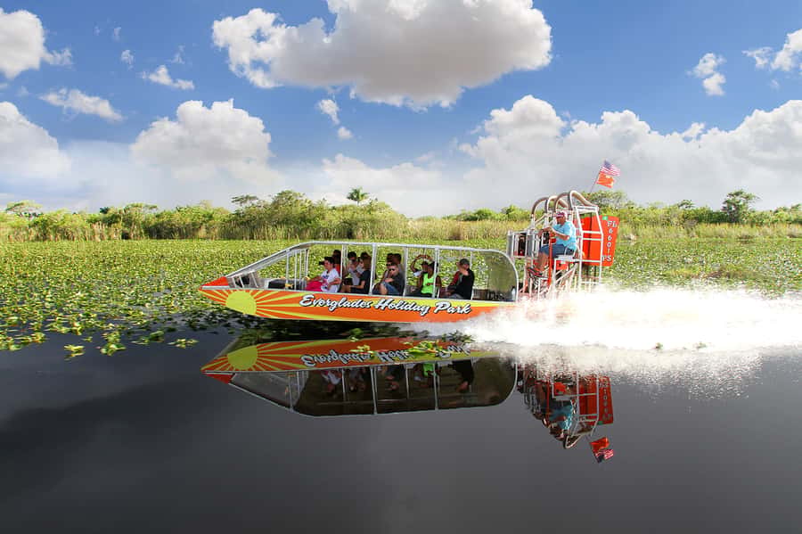 Miami: Everglades Experience, Bay Cruise & Open-Top Bus Tour - Price and Value: Is $80 Per Person a Good Deal?