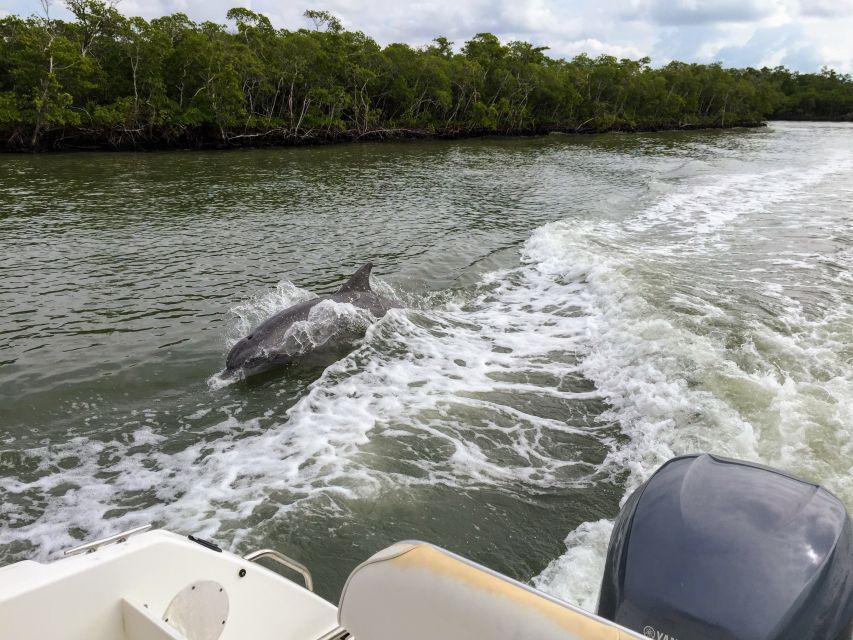 Miami: Everglades Full-Day Tour with 2 Boat Trips and Lunch - Quick hits before you go