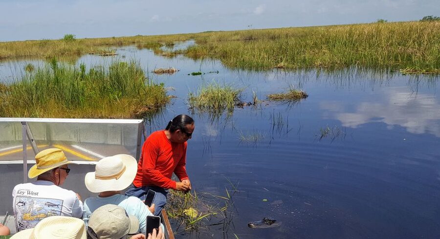 Miami: Everglades Full-Day Tour with 2 Boat Trips and Lunch - Big Cypress National Preserve walk: the swamp has patterns