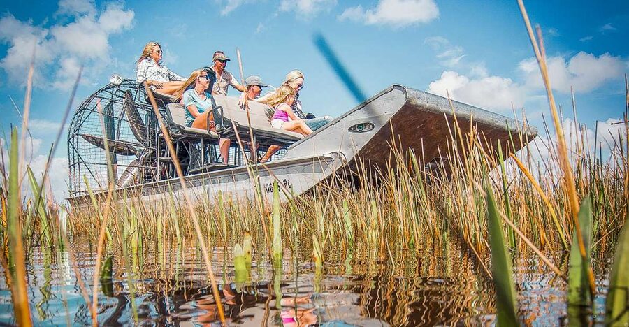 Miami: Everglades National Park Airboat Tour & Wildlife Show - The Airboat Ride Through the River of Grass: Speed Meets Sawgrass Ecology
