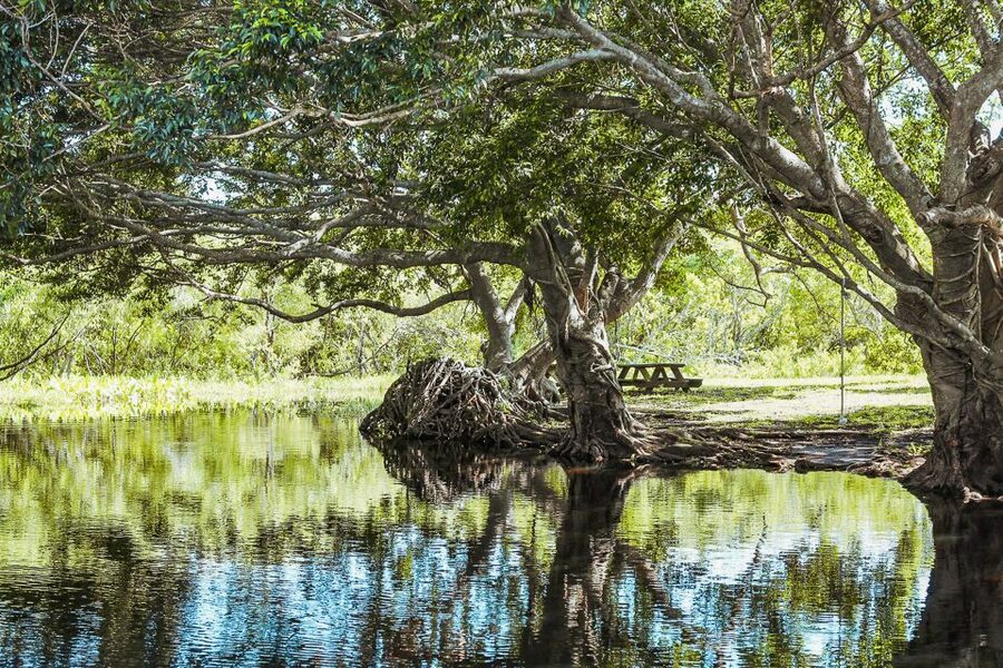 Miami: Everglades National Park Airboat Tour & Wildlife Show - Timing Your Day: Last Tour Times and a Realistic Plan
