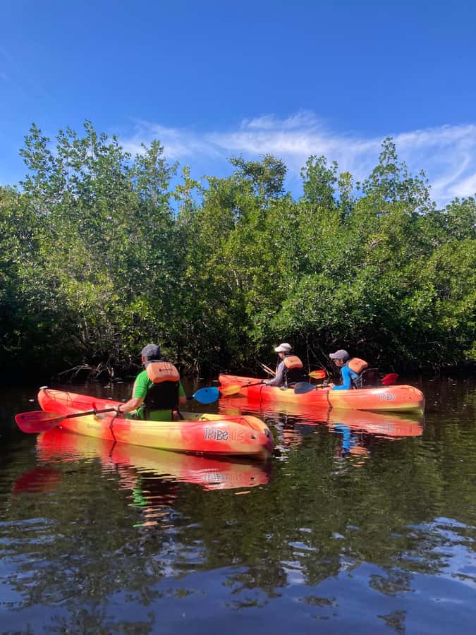 Miami: Everglades National Park Hiking and Kayaking Day Trip - Quick take: what makes this Everglades day trip click