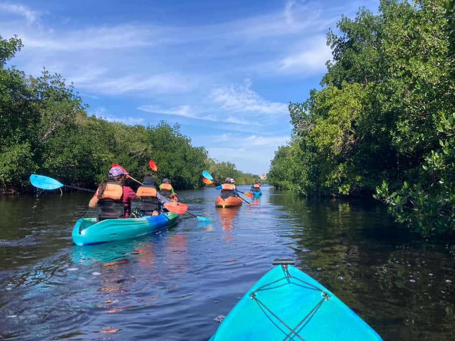Miami: Everglades National Park Hiking and Kayaking Day Trip - Hitting Ernest Coe Visitor Center: your day starts inside the park