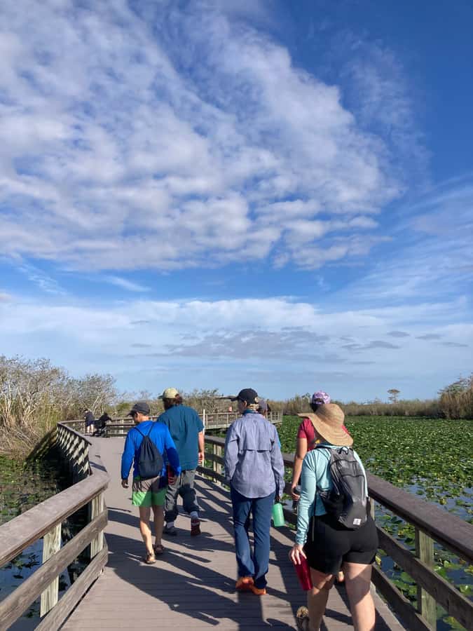 Miami: Everglades National Park Hiking and Kayaking Day Trip - Wildlife spotting: what to focus on besides the big animals
