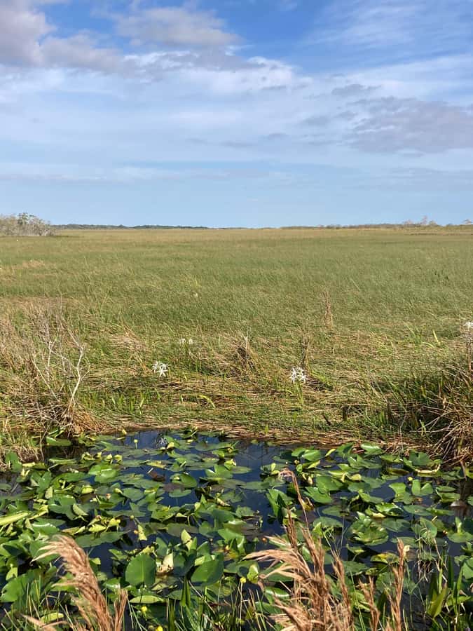 Miami: Everglades National Park Hiking and Kayaking Day Trip - What to bring so the day feels easy