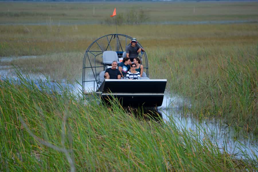 Miami: Everglades River of Grass Small Airboat Wildlife Tour - River of Grass at your eye level, not from a distant viewing deck