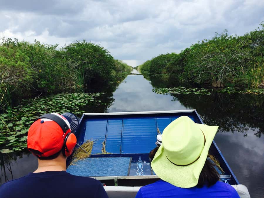 Miami: Everglades River of Grass Small Airboat Wildlife Tour - Learning Everglades history and restoration while you watch it happen