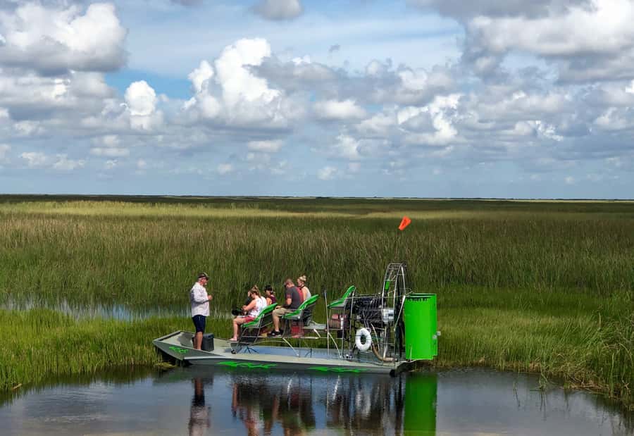 Miami: Everglades River of Grass Small Airboat Wildlife Tour - Price and value: $750 per group for a max of six