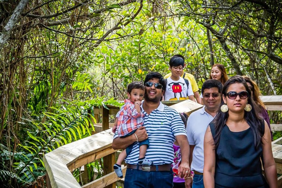 Miami: Everglades Safari Park Airboat Tour - Everglades Safari Park: why this airboat stop makes sense from Miami