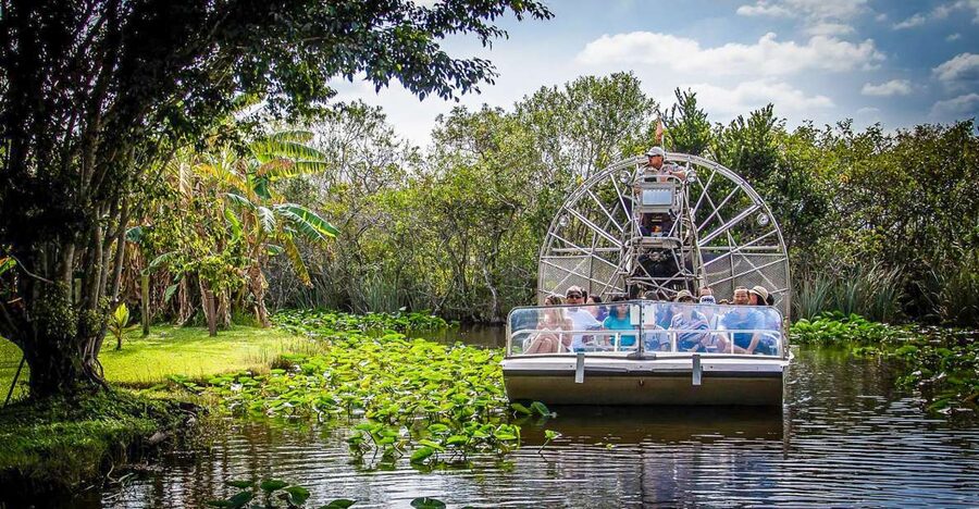 Miami: Everglades Safari Park Airboat Tour - Jungle trail boardwalk and observation stops: the walking portion that feels worth it
