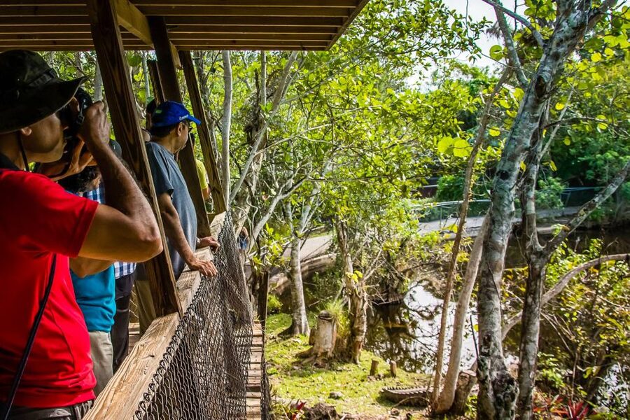 Miami: Everglades Safari Park Airboat Tour - Price and value: how the $41 stacks up with the $8 park fee
