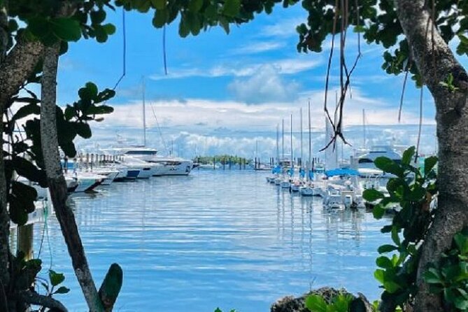 Miami Express Private Boat a 1- Hour Luxury Experience - The Two-Part Route: Marinas and the skyline view