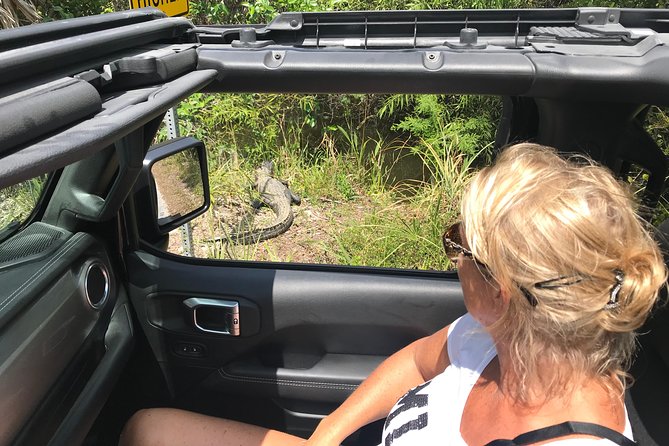 Miami & Florida Everglades Adventure Package - Coconut Grove, Coral Rock Stops, and Biscayne Bay Views