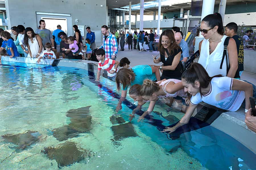 Miami: Frost Museum of Science and Planetarium Entry Ticket - Quick practical tips for the Frost Museum