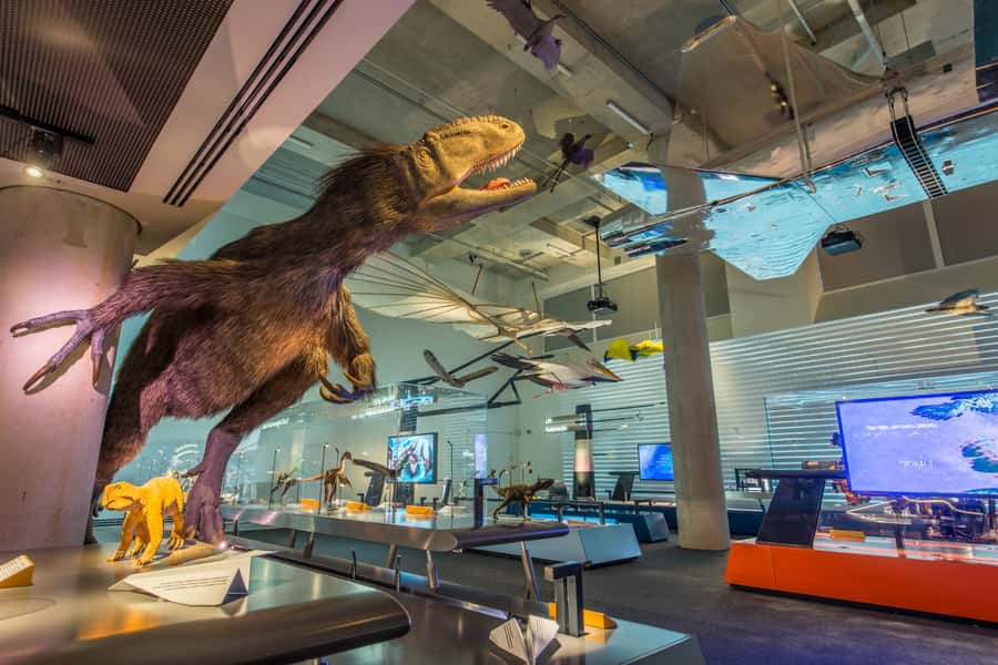 Miami: Frost Museum of Science and Planetarium Entry Ticket - Aquarium experience: from stingray touch to hammerheads