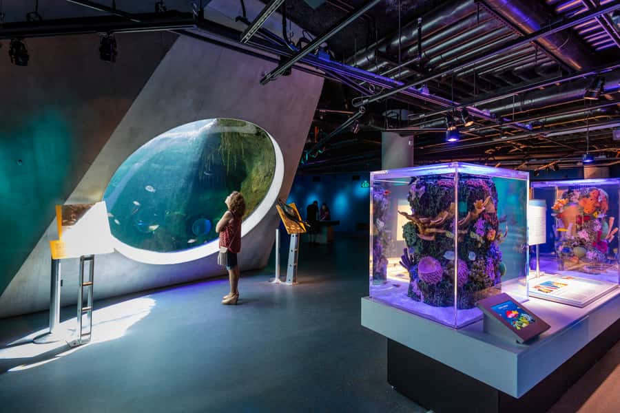 Miami: Frost Museum of Science and Planetarium Entry Ticket - Frost Planetarium shows: almost 360 degrees of space drama
