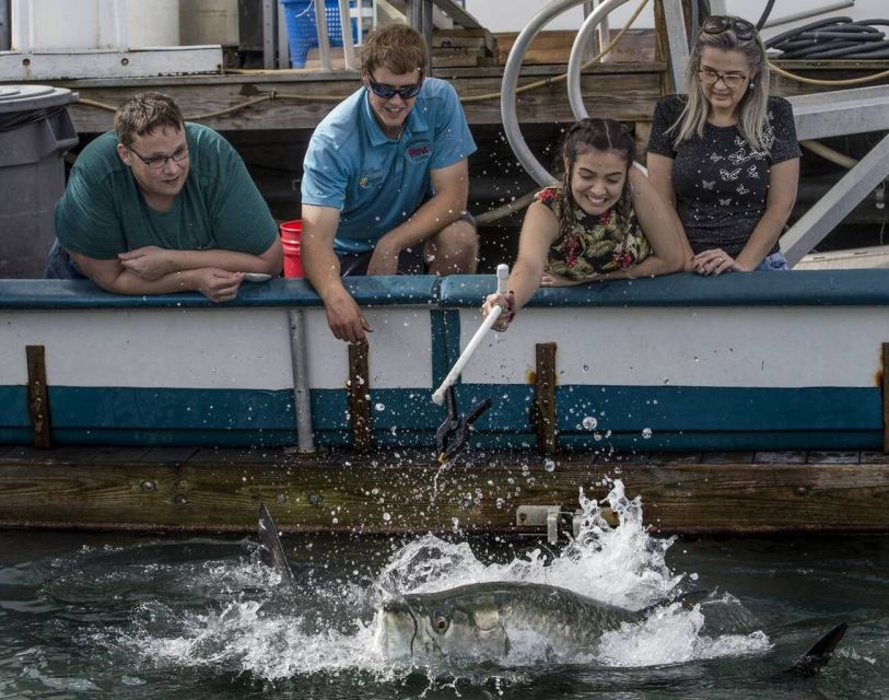 Miami: Giant Fish Feeding Experience - Where Miami tarpon feeding happens (Pier 5, Bayside Bay)