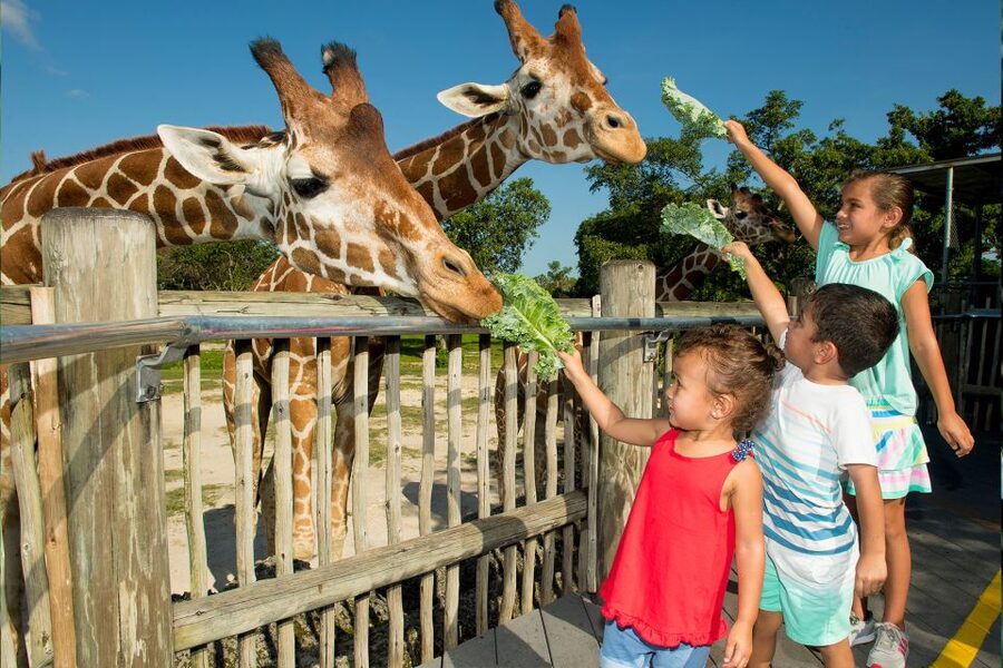 Miami: Go City All-Inclusive Pass with 30+ Attractions - When the Pass Is Best Value (and When It’s Not)