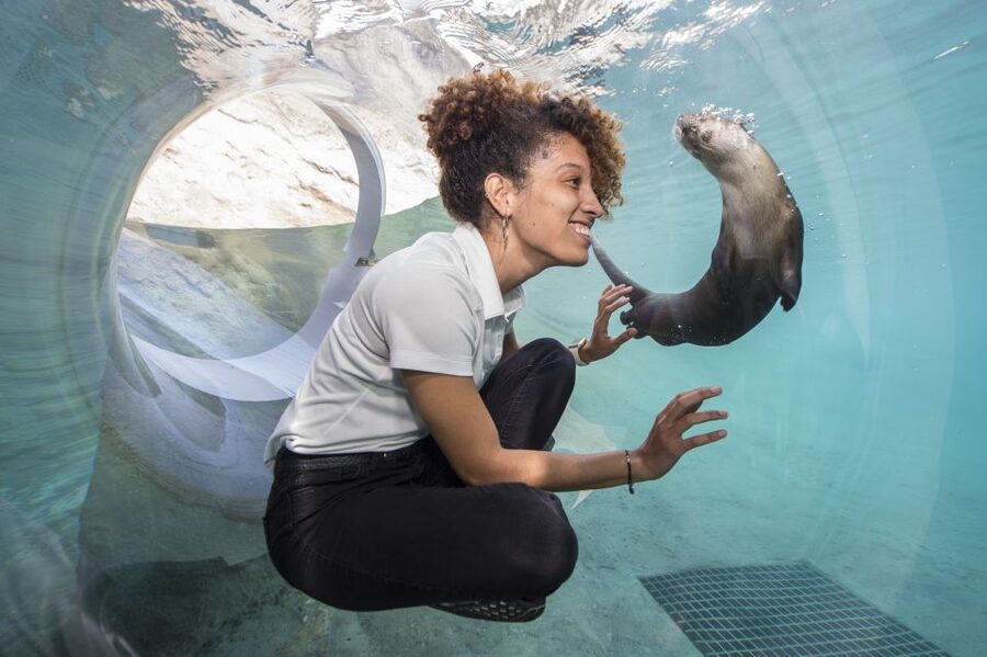 Miami: Go City Explorer Pass - Choose 2 to 5 Attractions - Price and value: when $79 makes sense (and when it doesn’t)