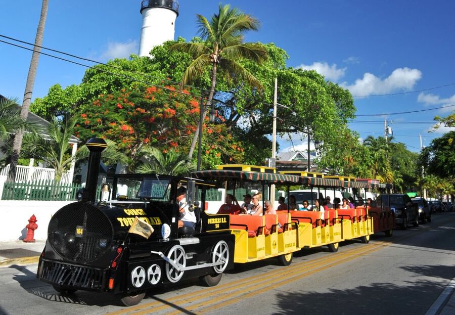 Miami: Go City Explorer Pass - Choose 2 to 5 Attractions - Everglades wildlife and airboats: fast nature, real tradeoffs