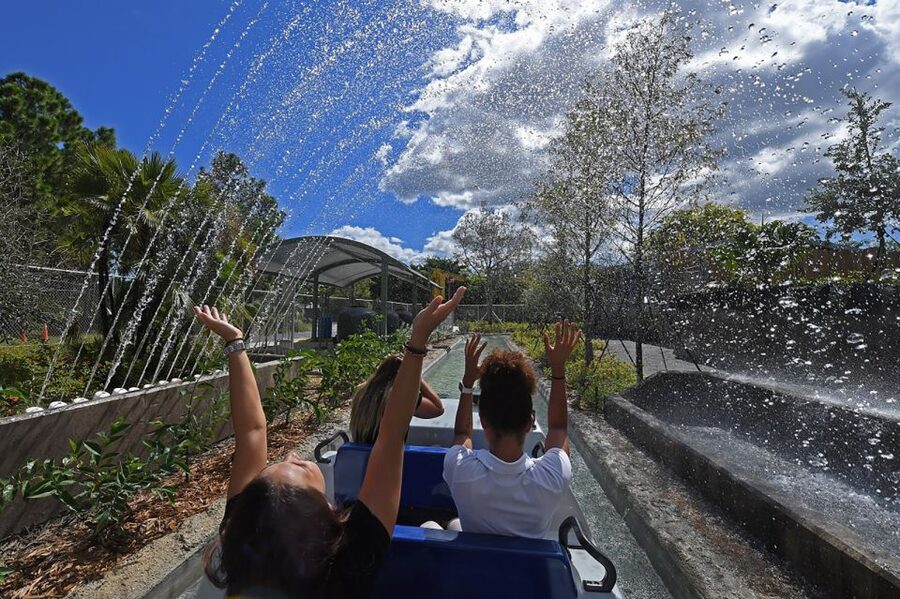 Miami: Go City Explorer Pass - Choose 2 to 5 Attractions - Lion Country Safari and Zoo Miami: animals with a pacing plan